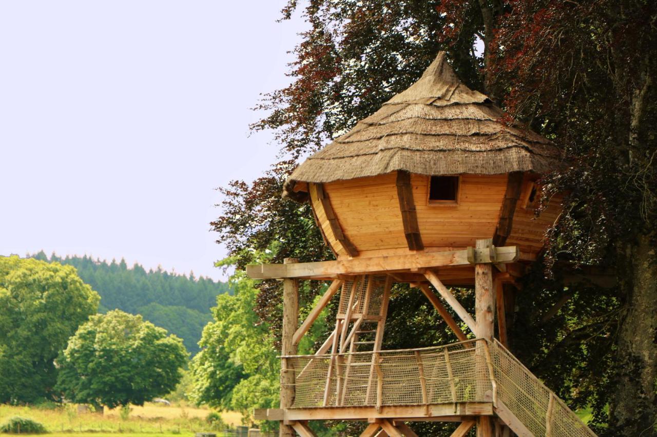 Cabane Perchee Dans Les Arbres Saint-Hilaire-en-Morvan Ngoại thất bức ảnh