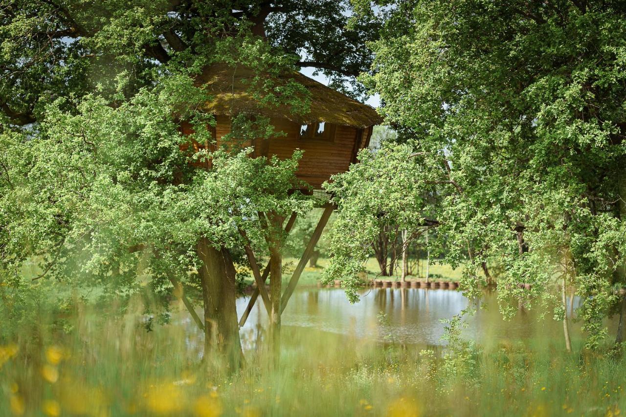 Cabane Perchee Dans Les Arbres Saint-Hilaire-en-Morvan Ngoại thất bức ảnh
