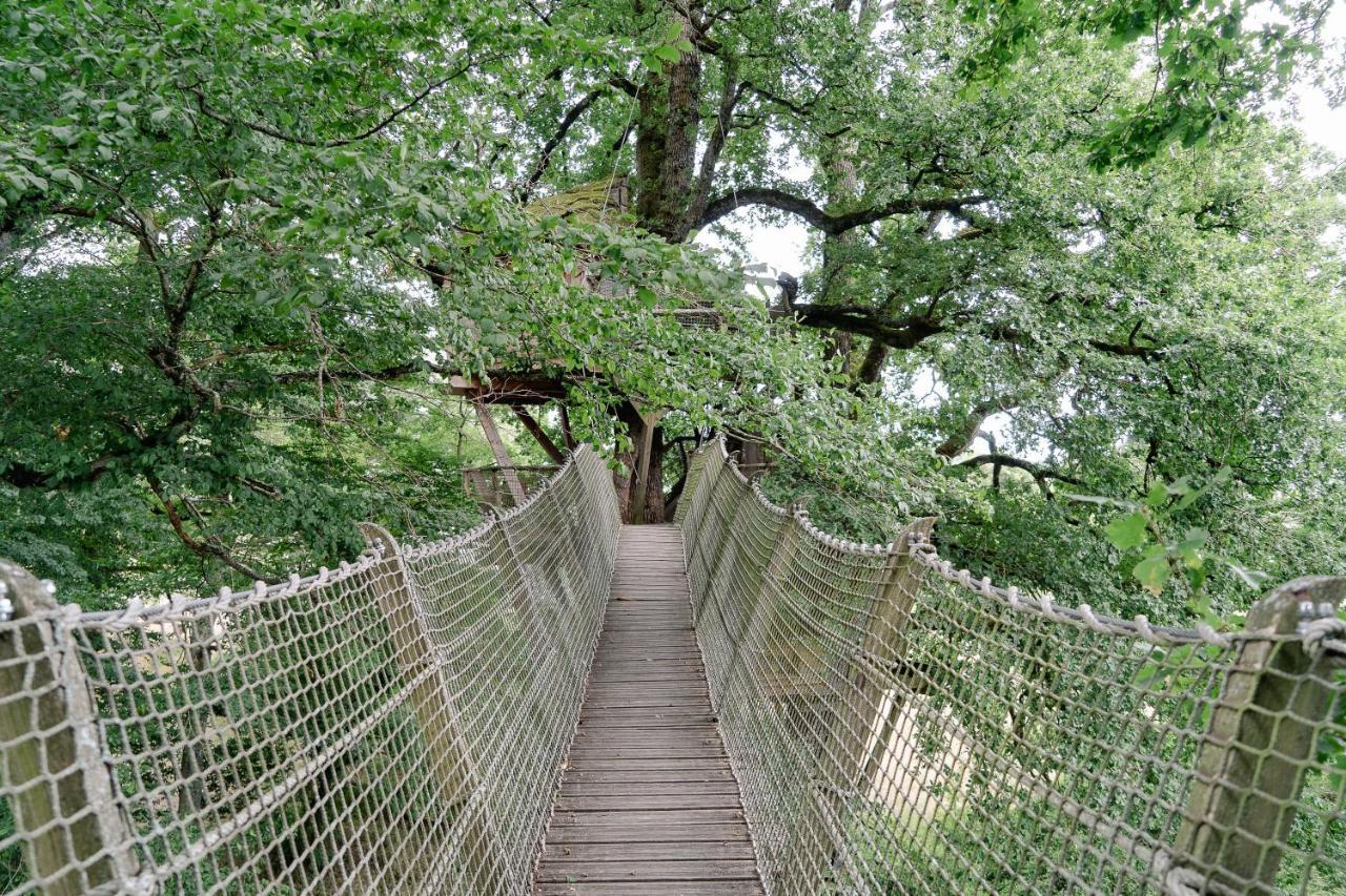 Cabane Perchee Dans Les Arbres Saint-Hilaire-en-Morvan Ngoại thất bức ảnh