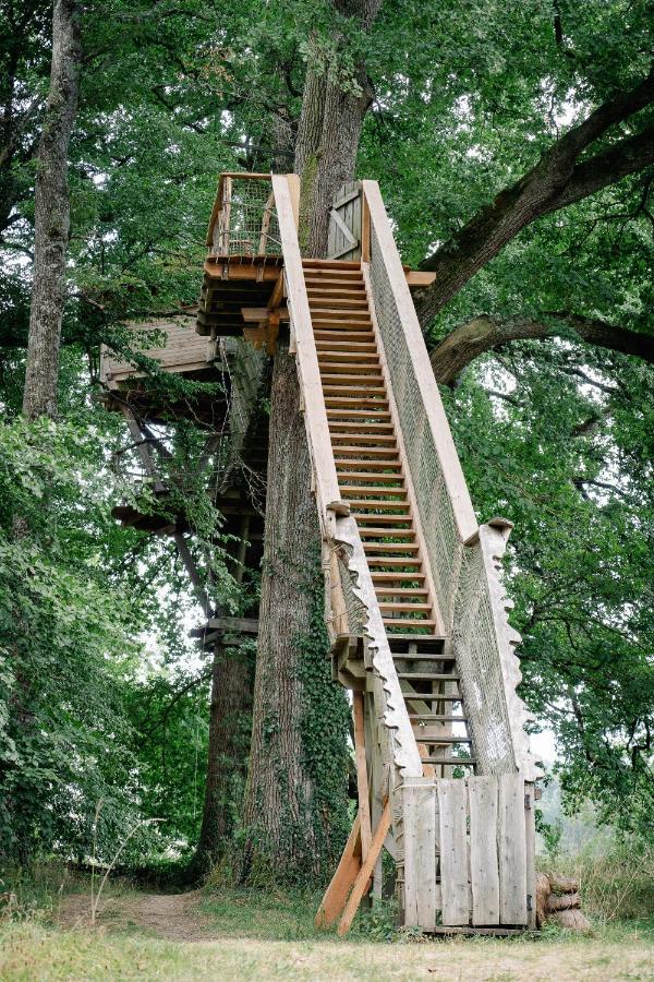 Cabane Perchee Dans Les Arbres Saint-Hilaire-en-Morvan Ngoại thất bức ảnh