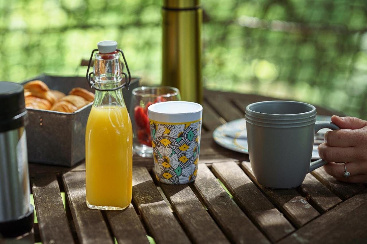 Cabane Perchee Dans Les Arbres Saint-Hilaire-en-Morvan Ngoại thất bức ảnh
