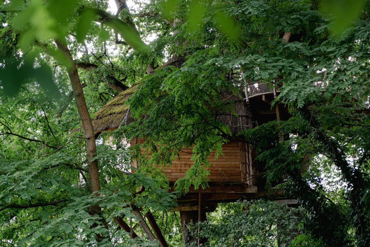 Cabane Perchee Dans Les Arbres Saint-Hilaire-en-Morvan Ngoại thất bức ảnh