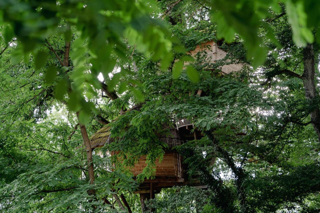 Cabane Perchee Dans Les Arbres Saint-Hilaire-en-Morvan Ngoại thất bức ảnh
